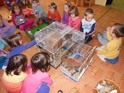 Den dětí se zvířátky